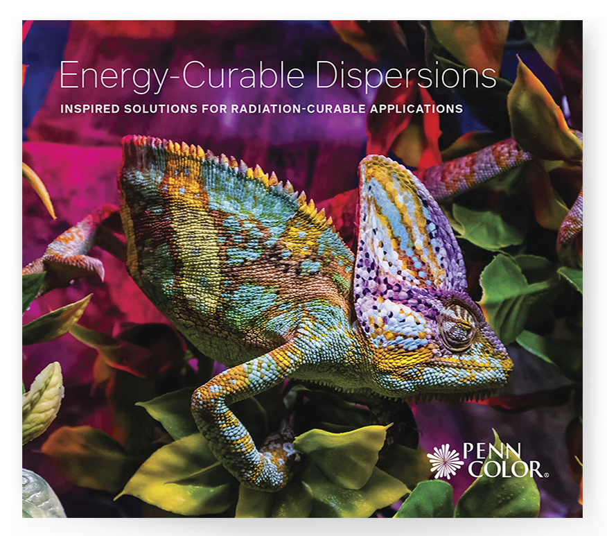 Photo of Color Dispersions Brochure